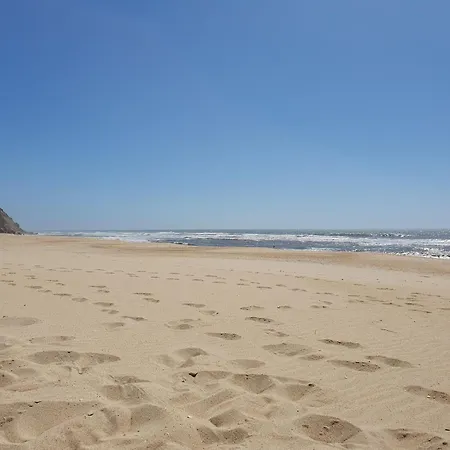 Vistazul