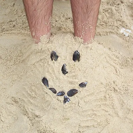 Vistazul Vakantiehuis Pataias